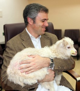 Pashmina sheep-goat clone 'Noori' warms the cockles of Chief Minister's heart. Pashmina sheep-goat clone 'Noori' warms the cockles of Chief Minister's heart.