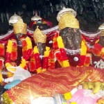 A view of Pingla Mata shrine at Ramnagar.