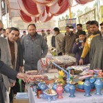 Minister for Employment, Abdul Gani Malik having a look at stall at Pulwama on Wednesday.