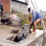 Murdered man's body being dragged out of a gutter at Mendhar on Saturday.