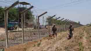 BSF jawans conducting searches with sniffer dogs along the border fencing in Ramgarh sector on Tuesday. -Excelsior/Gautam