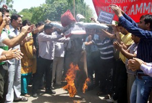 Protesting JU employees torching effigy in the campus on Tuesday.