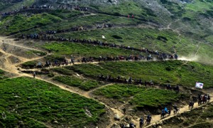 Pilgrims trekking towards Amarnath cave shrine near Sangam. -Excelsior/ Sajad Sameer