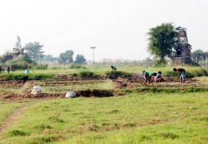 People working in fields at Zero Line at village Garkhal in Akhnoor sector with Indo-Pak posts visible opposite to each other on Sunday. —Excelsior/Rakesh