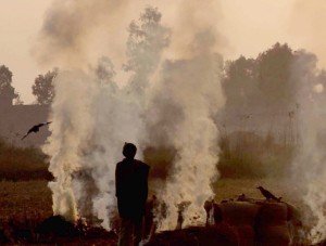 Winter sets in... — Excelsior/Rakesh