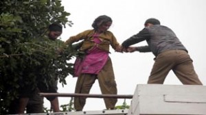 Police personnel bringing down a woman from a tree near Tawi bridge on Monday. -Excelsior/Rakesh