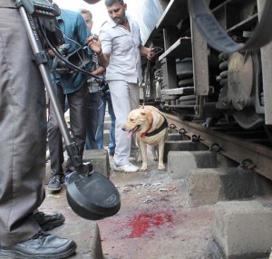 Bomb Squad personnel searching Guwahati-Bangalore express train at 9th platform after bomb blast at the Central Railway Station, in Chennai on Thursday. (UNI)