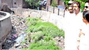 Minister for Housing Raman Bhalla inspecting works at nallah in Jammu on Tuesday.