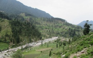A scenic view of Dudu Valley. -Excelsior/Rakesh