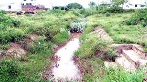 The condition of an irrigation canal in Samba district. -Excelsior/Gautam