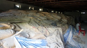 Ration rotting in a depot at Largam on Thursday. -Excelsior/Younis Khaliq 