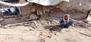 A woman looks at the damage caused to her house as a cattle lies dead on her back in Treva village of Arnia sector on Sunday. More pics on page 3 . -Excelsior/Rakesh