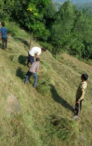 Govt schools’ boys cutting grass in teacher’s field in Mendhar.