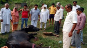 R S Chib during his visit to Suchetgarh on Sunday.