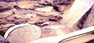 A house damaged in Pakistan shelling in Sabjian sector.  -Excelsior/Harbhajan