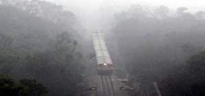 A train on way to Udhampur amid dense fog on Saturday. -Excelsior/Rakesh