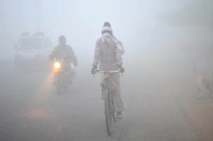 A cyclist on his way on the foggy and windy weather in New Delhi on Sunday.(UNI)