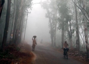 A woman carrying headload, braving cold amidst dense fog in Jammu’s outskirts on Monday. —Excelsior/Rakesh