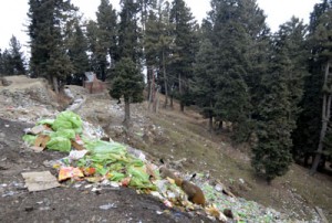 Garbage scattered on the sides of road leading to Gulmarg. -Excelsior/ Aabid Nabi
