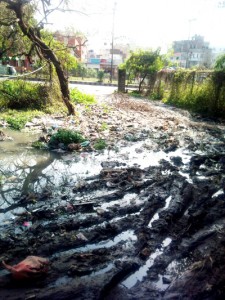 Choked nullah creating health hazards at PDD Complex near Panama Chowk.