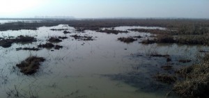 Hokersar wetland turned into land mass posing flood threat to Srinagar city.
