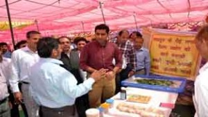 DDC, Dr Shahid Iqbal Choudhary at Employment Festival-cum-Placement Drive at Kathua on Thursday.