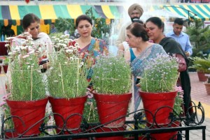 Beautiful potted plant varieties being presented during flower and gardening show.