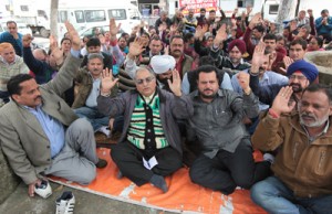 Medical employees during a protest dharna at Madam Shashi Bala Memorial Park, DHS at Jammu on Saturday. -Excelsior/Rakesh