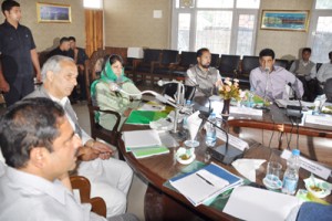 MP Mehbooba Mufti chairing DEC meeting at Anantnag on Saturday.