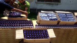 Intoxicants seized by Police.