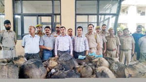 Forest produce seized by excise sleuths at Lakhanpur on Saturday.         -Excelsior/Madan