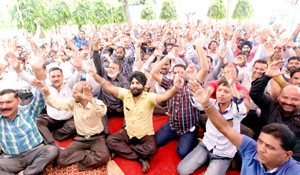 Forest employees staging protest at Dogra Hall Forest Complex in Jammu on Saturday.-Excelsior/Rakesh