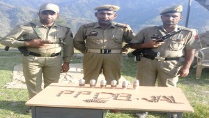 Cops pose with grenades and ammunition recovered in Mahore area of Reasi district on Wednesday.