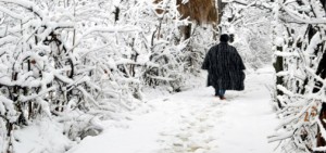 Branches of trees and plants turn ‘snow clad’ as Kashmir witnessed season’s first snowfall. —Excelsior/Sajjad Dar