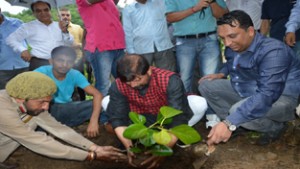 Minister for Forests, Choudhary Lal Singh planting a sapling during special plantation drive on Saturday.