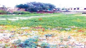 A view of a traditional pond filled with garbage.