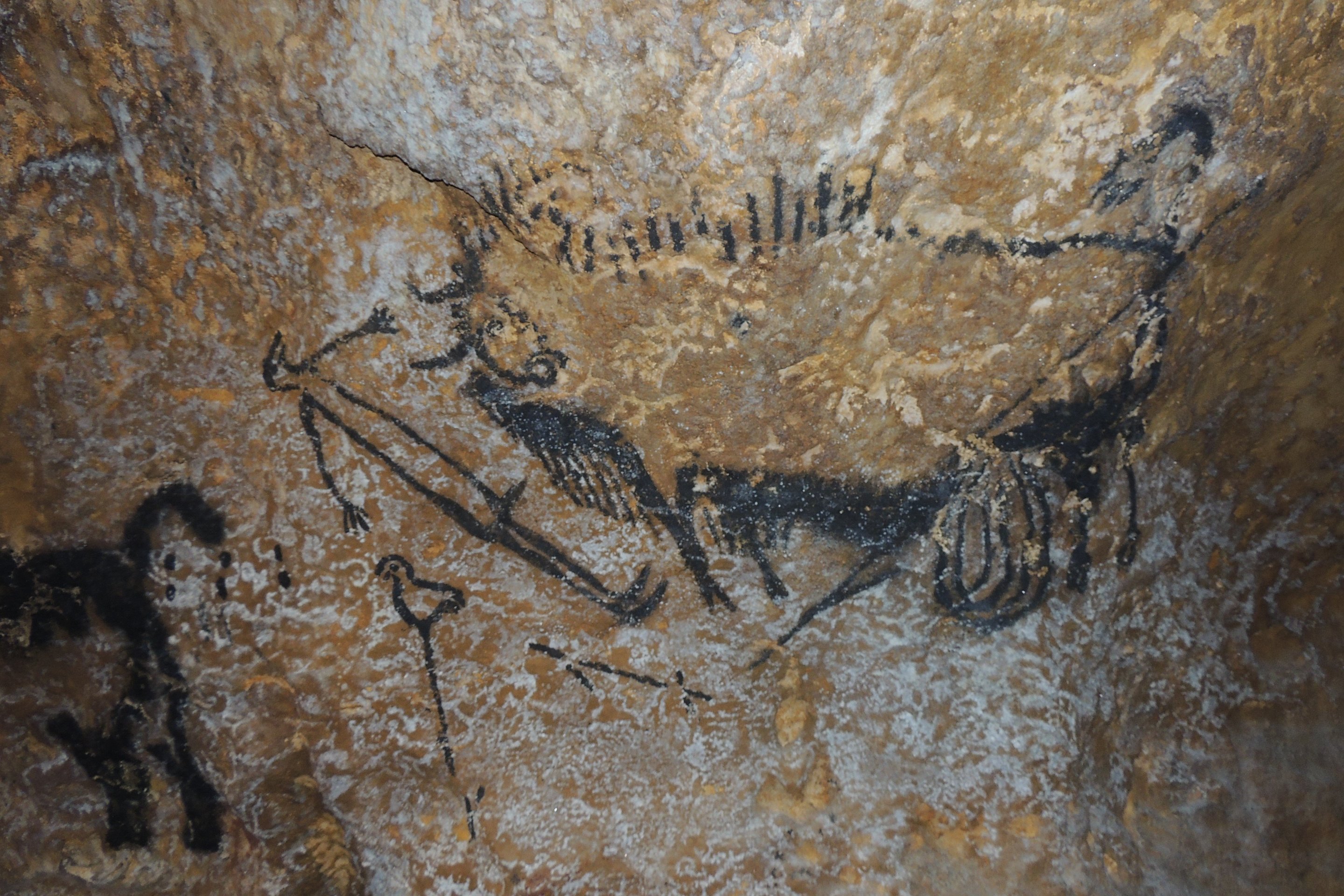 Ancient cave art suggests humans understood complex astronomy 40,000