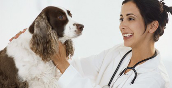 Pet-Health-418x215