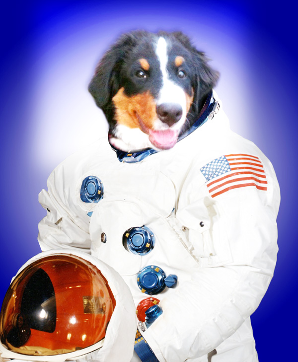 astronaut_blue_dog_freeman