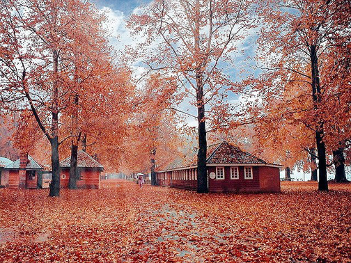 Kashmir during the autumn season India copy - Jammu Kashmir Latest News