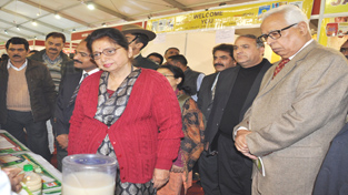 Governor NN Vohra, Usha Vohra and MoS Health Shabir Ahmad Khan visiting stalls in AROGYA Mela at Parade Ground Jammu on Tuesday. Governor NN Vohra, Usha Vohra and MoS Health Shabir Ahmad Khan visiting stalls in AROGYA Mela at Parade Ground Jammu on Tuesday.