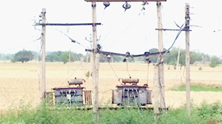 Killer lines in Ramgarh. -Excelsior/Gautam