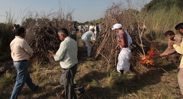 The funeral pyres of Shakuntla Devi and Poli Devi being lit at village Rehiyan in Samba sector on Thursday. — Excelsior/Rakesh