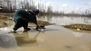 People forced to drink contaminated water as PHE fails to provide potable water to the villagers of Chek-e-Kalan in Central Kashmir’s Budgam district. -Excelsior/Amin War People forced to drink contaminated water as PHE fails to provide potable water to the villagers of Chek-e-Kalan in Central Kashmir’s Budgam district. -Excelsior/Amin War