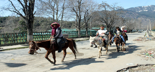 Tourists enjoying horse ride at Pahalgam. -Excelsior/Younis Khaliq