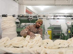 Govt may impose anti-dumping duty on mulberry raw silk imports Govt may impose anti-dumping duty on mulberry raw silk imports