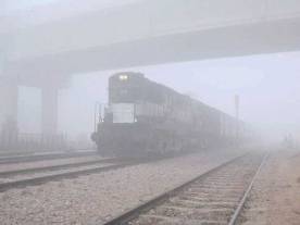 Cold prevails in North; 71 trains cancelled due to fog Cold prevails in North; 71 trains cancelled due to fog