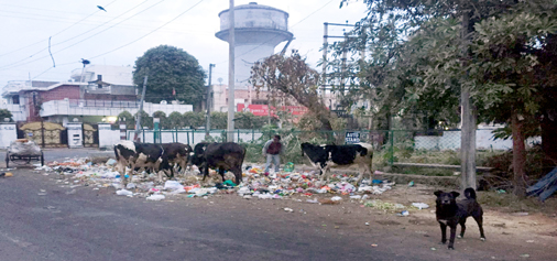 Garbage dump on main road near Balmiki Chowk in Gandhi Nagar is a blot on the performance of Jammu Municipal Corporation and big question mark on Swacch Bharat Abhiyan. -Excelsior/Rakesh Garbage dump on main road near Balmiki Chowk in Gandhi Nagar is a blot on the performance of Jammu Municipal Corporation and big question mark on Swacch Bharat Abhiyan. -Excelsior/Rakesh