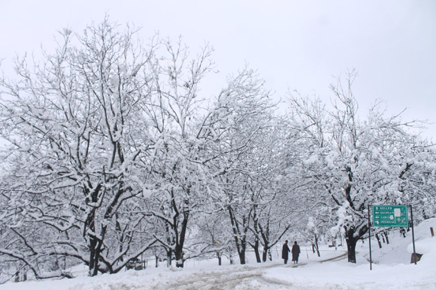 Tomorrow weather conditions in srinagar