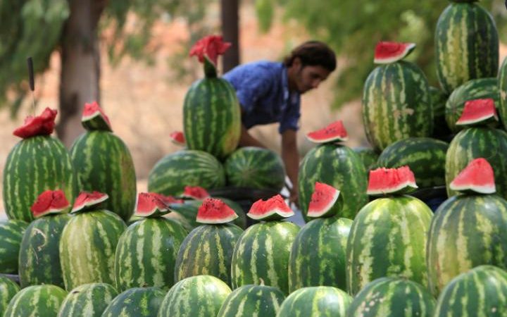 106221531_A vendor stands behind watermelons displayed for sale in Kfar Tebnit village southern Leba-large_trans++n2n2hk5qKEJ--A9z8HbLArqQcuHd4-Z76UjKfqAIsf0